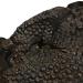 antique-sculpture-AARD7P-3